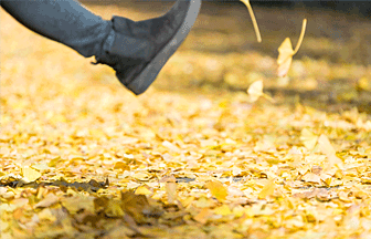 校内の風景 落ち葉遊び
