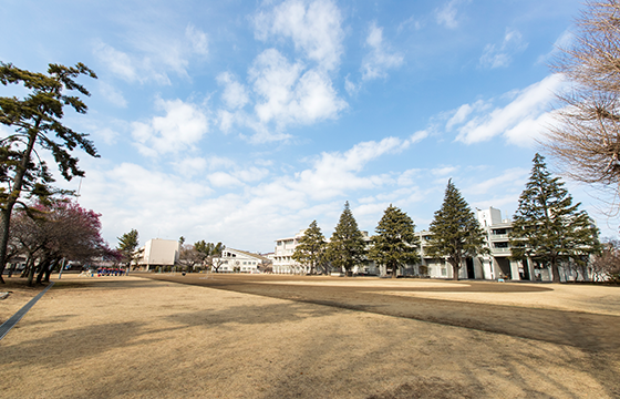 大学グラウンド
