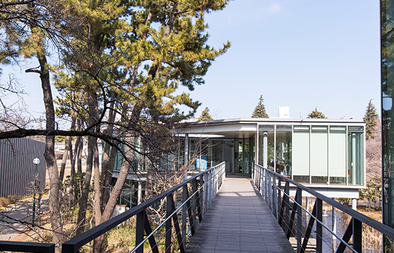 マーガレットホール