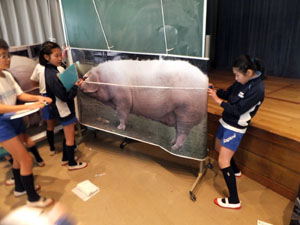 つなぐ手食育ブログ用４