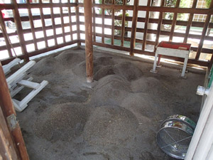 OLYMPUS DIGITAL CAMERA