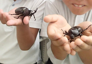 OLYMPUS DIGITAL CAMERA