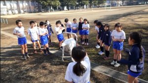 スクリーンショット 2016-02-23 19.56.15