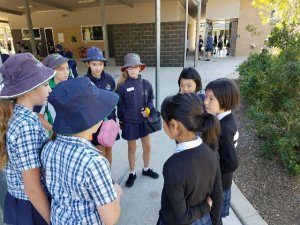 バディーのお迎え