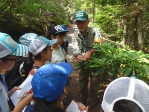 トレッキング③