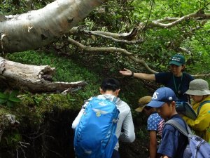 トレッキング⑥