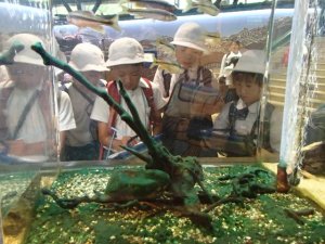 P9112553のコピー