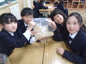 P2201145のコピー