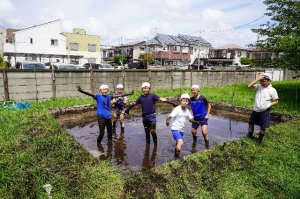 田んぼに③