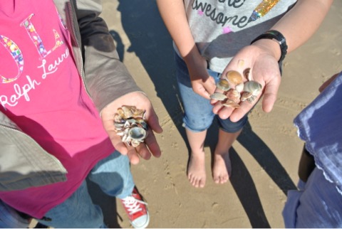 57AB6B7B-1138-4E08-ACEF-2B7A08178CCA