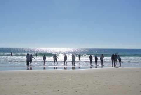 D61D636C-0647-493C-A14C-06C379414736