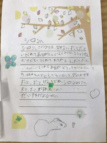 IMG_8929のコピー