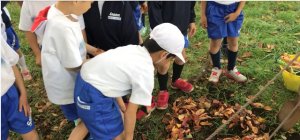 シロンお別れ２