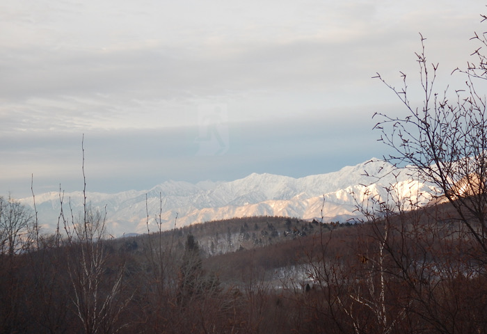 45950DDA-5556-44DE-BD98-7D049F5329E5