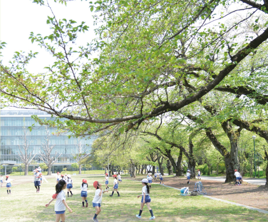 転入・編入学案内
