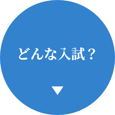 どんな入試？