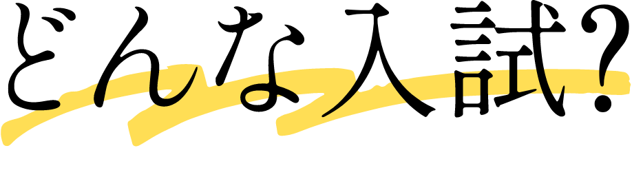 どんな入試？
