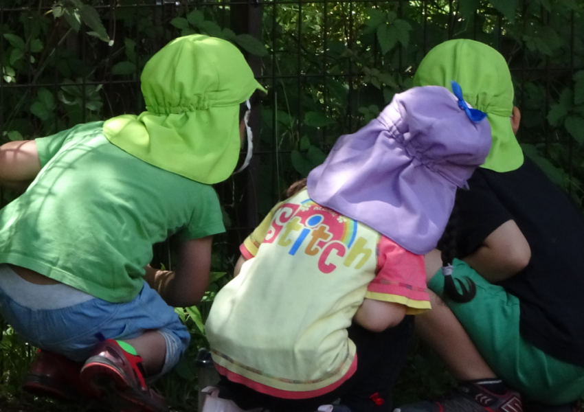 画像キャプション14px。画像とのマージン20px。画像に対して中央揃え。