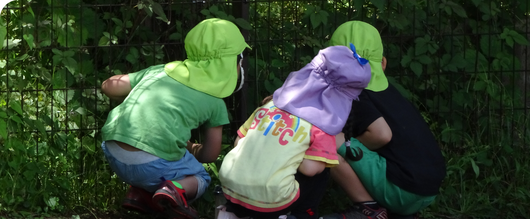 保護中: 保護者専用ページ