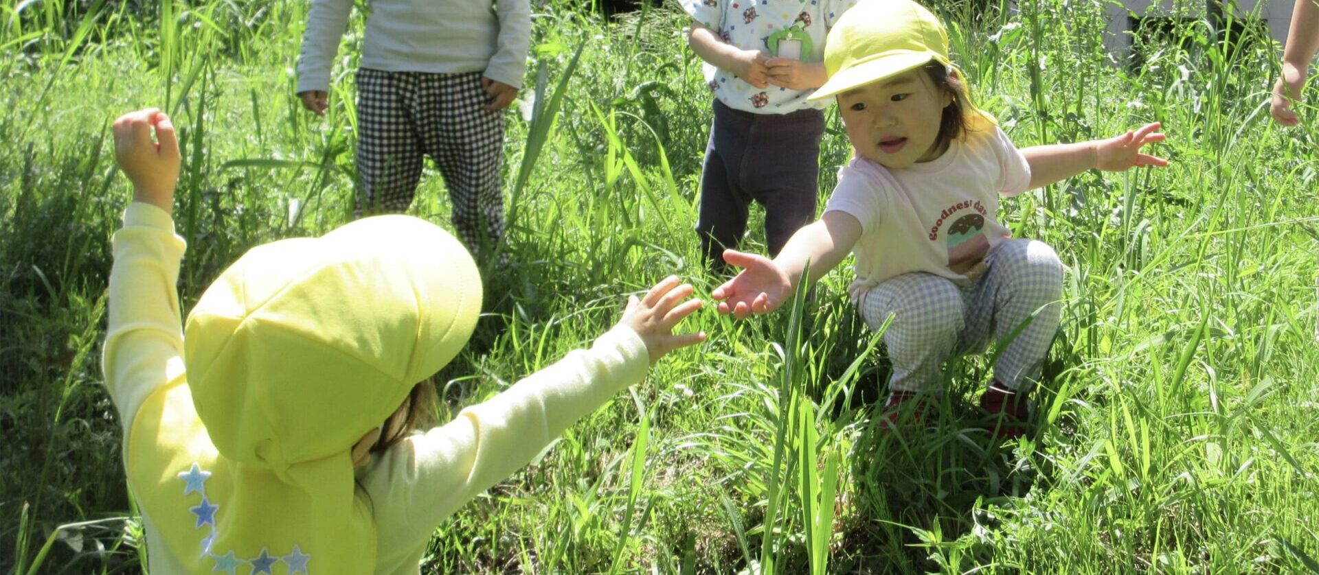 インクルーシブ保育